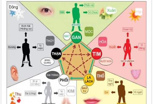 [Góc tìm hiểu] Học thuyết Âm Dương ứng dụng trong Y học Cổ truyền